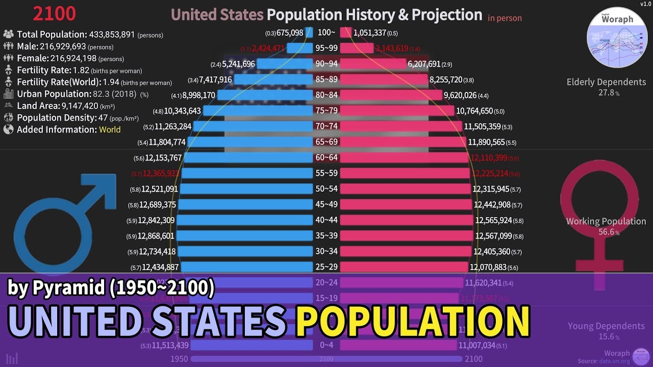 United States Population History & Projection by Pyramid (19502100