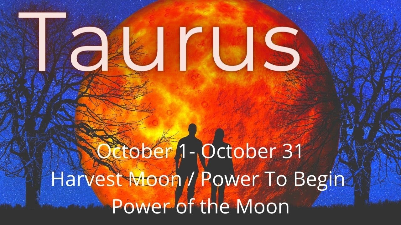 Taurus, You’re Hit Hard! A Dream You Thought Died & A Power You’ve Forgotten Change Everything