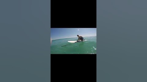 Giant Squid Attacks Surfboard!