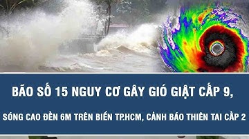 Bão số 15 nguy cơ gây gió giật cấp 9, sóng cao đến 6m trên biển TP.HCM, cảnh báo thiên tai cấp 2