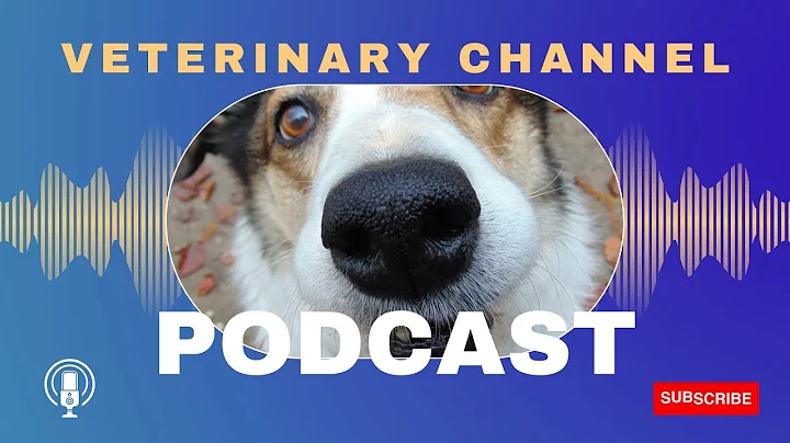 Cancer In Pets: Veterinary Oncology Lecture