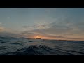 Spearfishing NY - Getting porgies at sundown.
