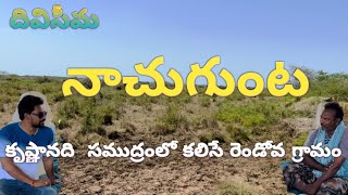 // Nachugunta Village // Diviseema Uppena // Krishna river Ending Village // #village #diviseema