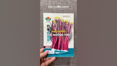 Hạt giống Cải ngồng tím (đỏ) #hatgiong #caingongtim #raucai