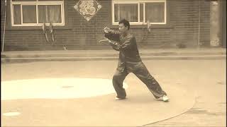 陳式太極拳十三式: 陳炳 - Chen Tai Chi Harmony 13 Form by Chen Bing