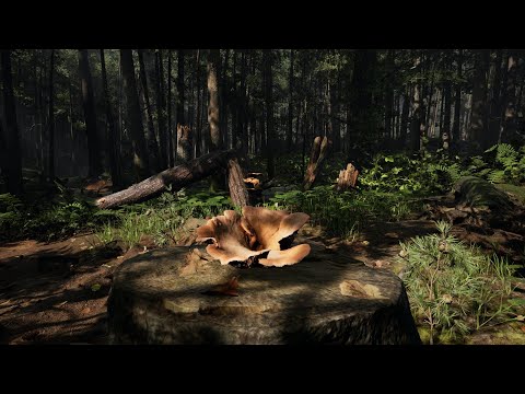 FORAGER Teaser Trailer BFI London Film Festival 2023 