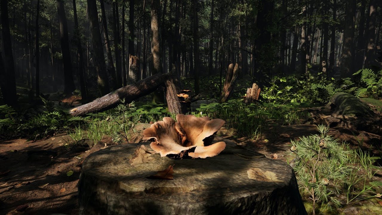 FORAGER teaser trailer | BFI London Film Festival 2023