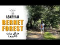 Abarham Bernet Forest In Iran جنگل اناروم 