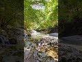 【自然の音 - 3min】白岩を流れる清流(木漏れ日)