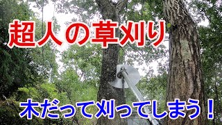 【超人の草刈り】やっかいな笹竹の刈り超人にやってもらったら凄すぎてヤバかった横須賀市　庭師　畠山庭園