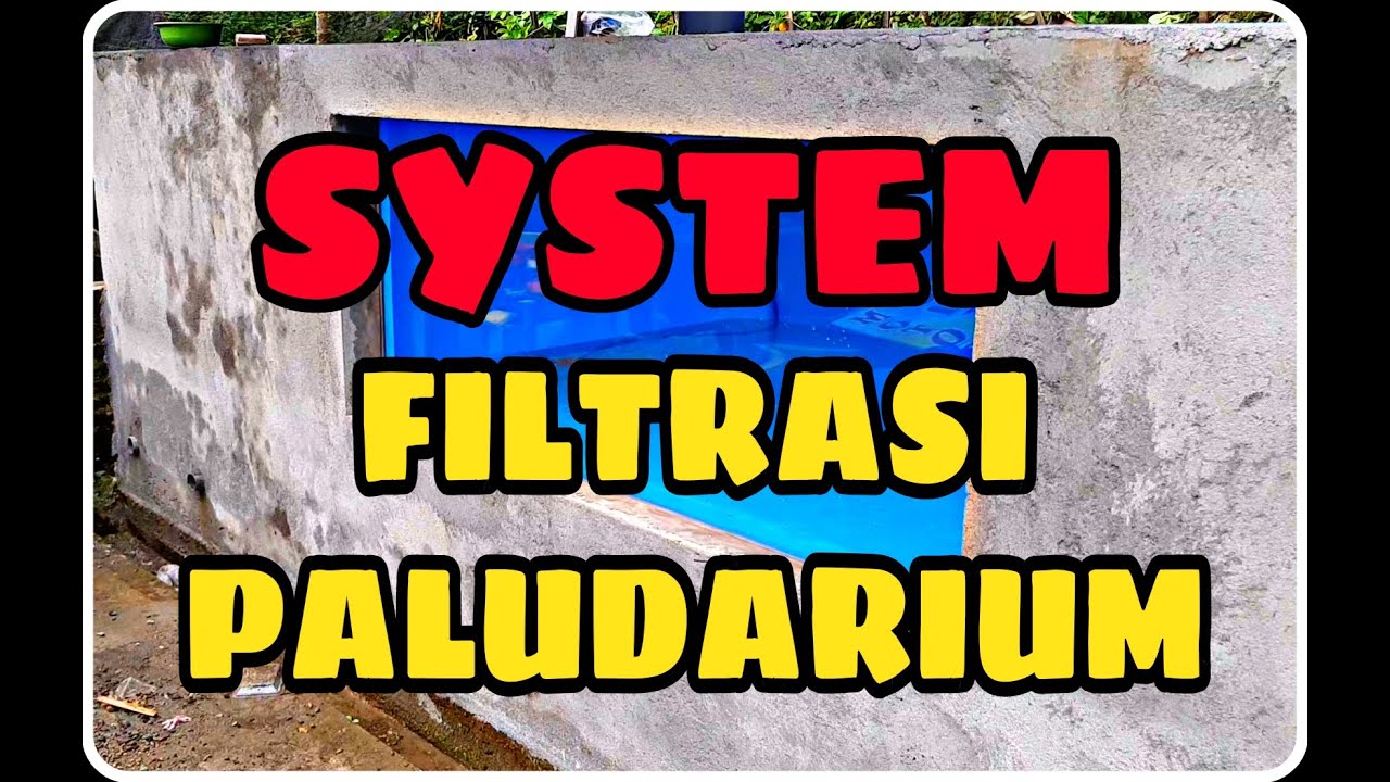 SYSTEM FILTRASI PALUDARIUM / KOLAM #paludarium #maskoki - YouTube