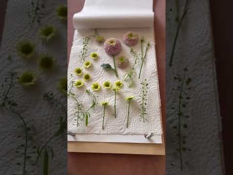 Video: 5 måter å lage tørkede blomster