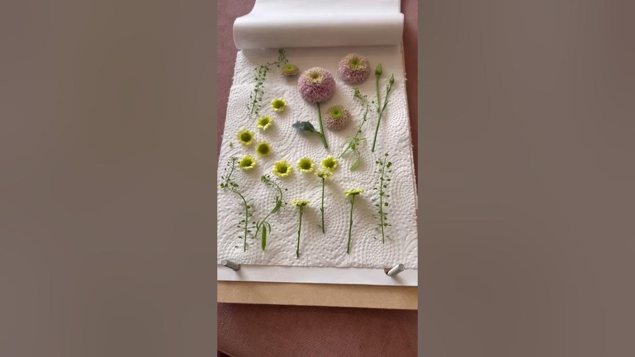 How to make pressed flowers and pressed flower art - Sweet Valley Acres