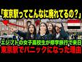 【海外の反応】「これが日本の首都なの？」エジプトの女子高校生が修学旅行で来日し、東京駅を見た瞬間…衝撃を受けた理由とは？