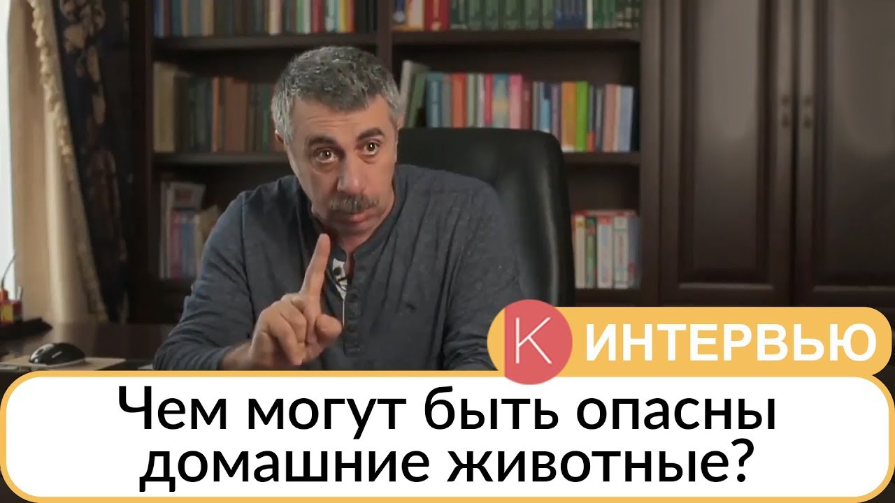 Чем могут быть опасны домашние животные? - Доктор Комаровский