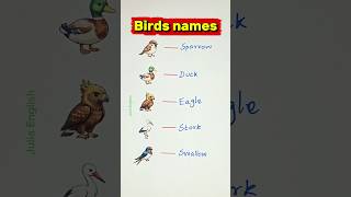 🐦 Birds names in English vocabulary #english #education #grammar #englishtips #vocabulary