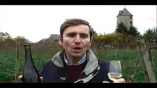 Damien Laureau - Presentation of Savennieres wine \