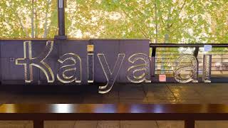 Kaiya.ai Test Render - RealFlow 16M Particles