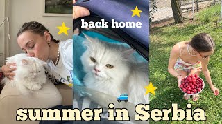 Travel vlog - i came home to Serbia after 6 months abroad 🇷🇸🐈 // family time, my baby cat & mini summer trips
