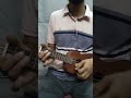 উকুলেলে কভার তুমি কার পোষা পাখি #ukulele #ukulelecover