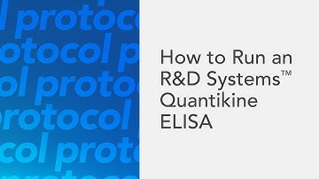 How to Run an R&D Systems Quantikine ELISA Kit - an ELISA protocol video