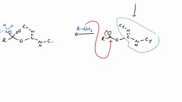 Peptide Synthesis
