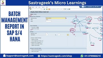 Batch Management Report in SAP S/4 HANA