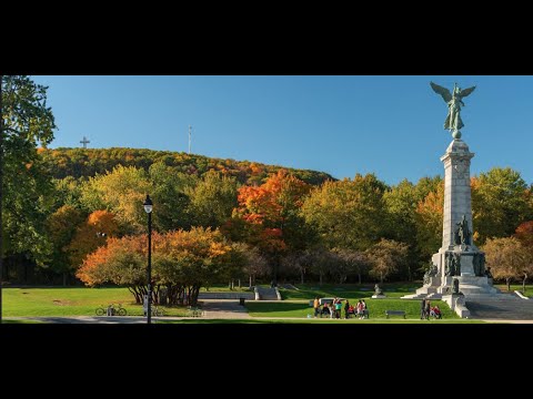 Séance publique d’information et d’échanges sur le Plan directeur de la côte Placide et du parc Jeanne-Mance