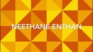 Neethane Enthan Ponvasantham - Ninaivellam Nithya LP