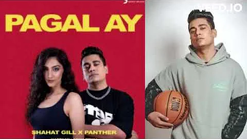 Shahat Gill and Panther Pagal Ay New Latest song