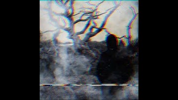 Harsh Noise Wall Teaser.