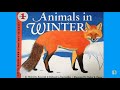 Animals in Winter by Henrietta Bancroft and Richard G. Van Gelder