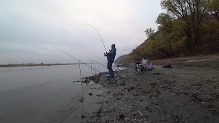 выезд на леща с берега🎣🐋📽️ на Дон осенью #рыбалка #дон #fishing #осень #лещ #фидер