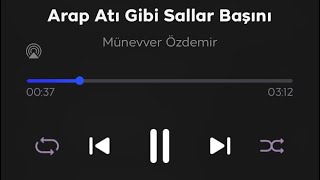 Thm - Arap Atı Gibi Sallar Başını (Münevver Özdemir) Resimi