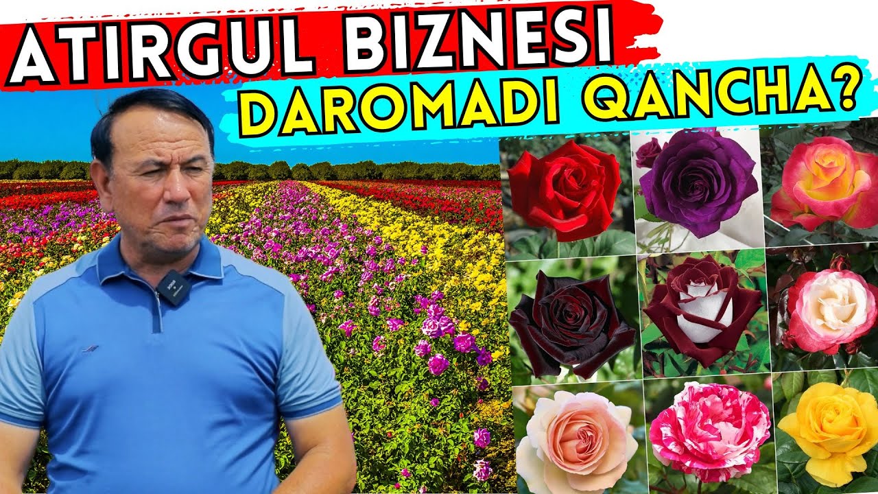 #2025 BALIQCHI TUMANIDAGI ATIRGUL BOG'IDAN DAROMAD QILAYOTGAN TADBIRKOR HIKOYASI