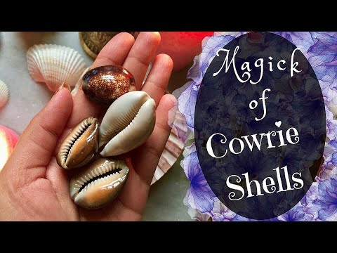 Download The Secret Spiritual Powers Of Cowries... how to use Cowries to Attract, Money, Love, Favour
