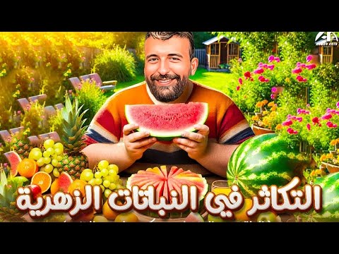 حل و فرم نهاية التكاثر في النباتات الزهرية للصف الثالث الثانوي احياء الثانوية العامة