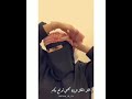 اغنيه ستوري ول ول ول ياهل العكل المياله