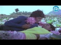 Minneti Sooreedu Song - Seethakoka Chilaka Movie Songs - Karthik Muthuraman - Aruna Mucherla