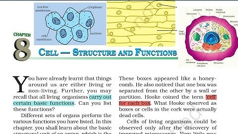 CBSE NCERT CLASS VIII SCIENCE CHAPTER 8 "CELL STRUCTURE AND FUNCTIONS " PART 2