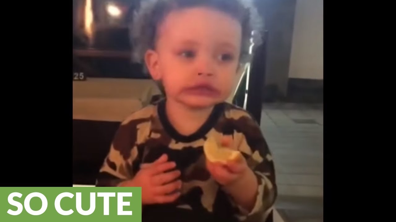 baby laughing ringtone mp3 free download Toddler can't stop eating lemon, gives priceless facial expression