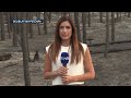 Dnevnik u 19 / Beograd / 24.8.2026.
