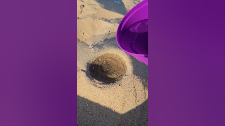 Summer ideas | Beach sand Bowl