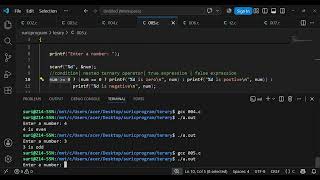 Class 13 ternary operator c program 