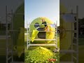 Turning A Tennis Ball into a Tiny Home #ai #transformation #shorts