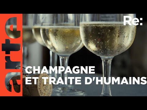 Champagne, l’envers d’un terroir | ARTE Regards