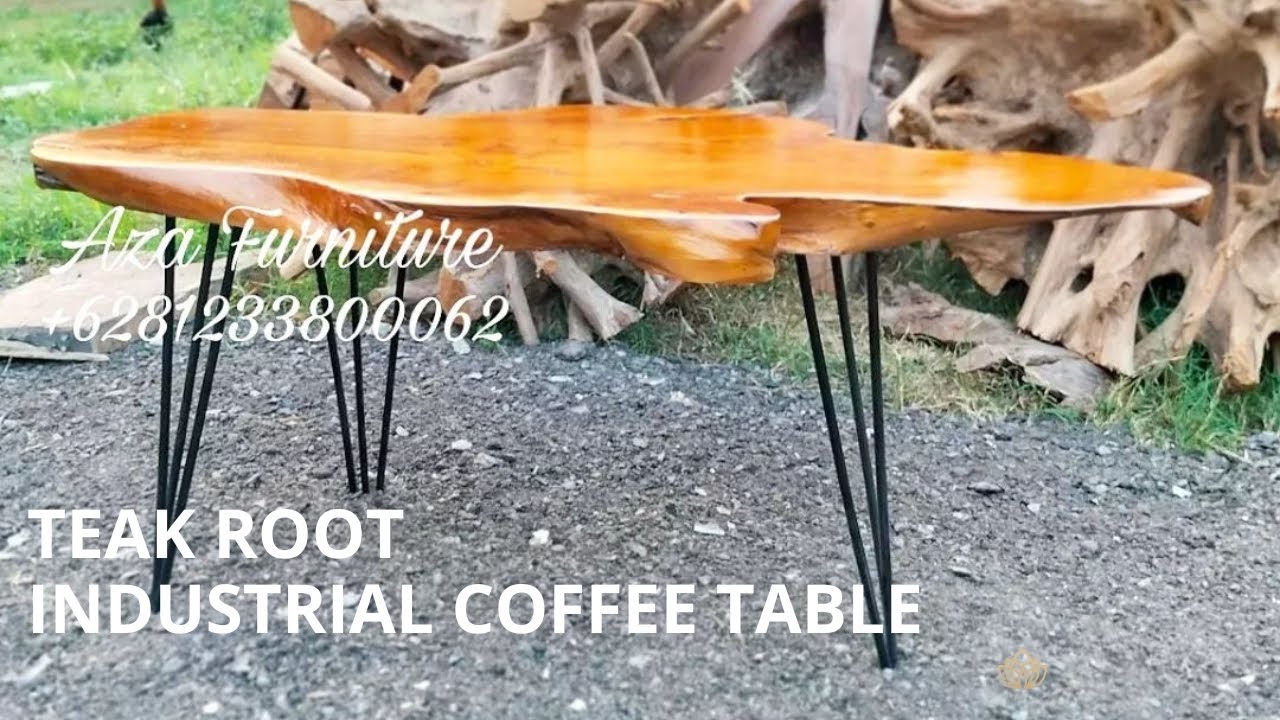 Industrial Teak Root Coffee Table | Natural Furniture