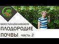 Как я восстановила плодородие почвы. Часть 2