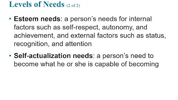 BUS 101: Ch 17 (Motivation)