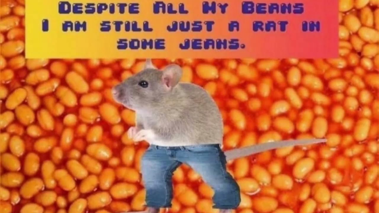 RAT IN SOME BEANS YouTube